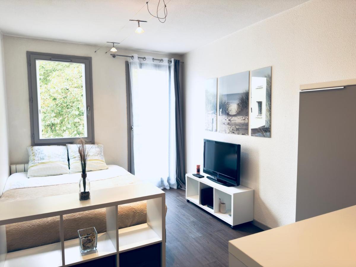 *Le Cityzen*15Min Du Centre A Pied+Parking Gratuit Annecy Eksteriør billede